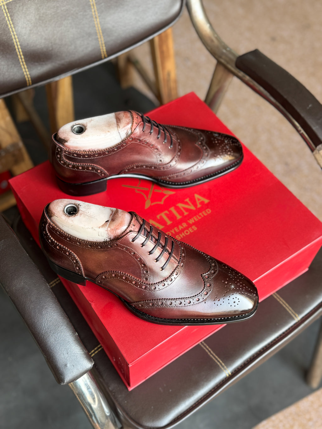 Burgundy black wingtip oxfords