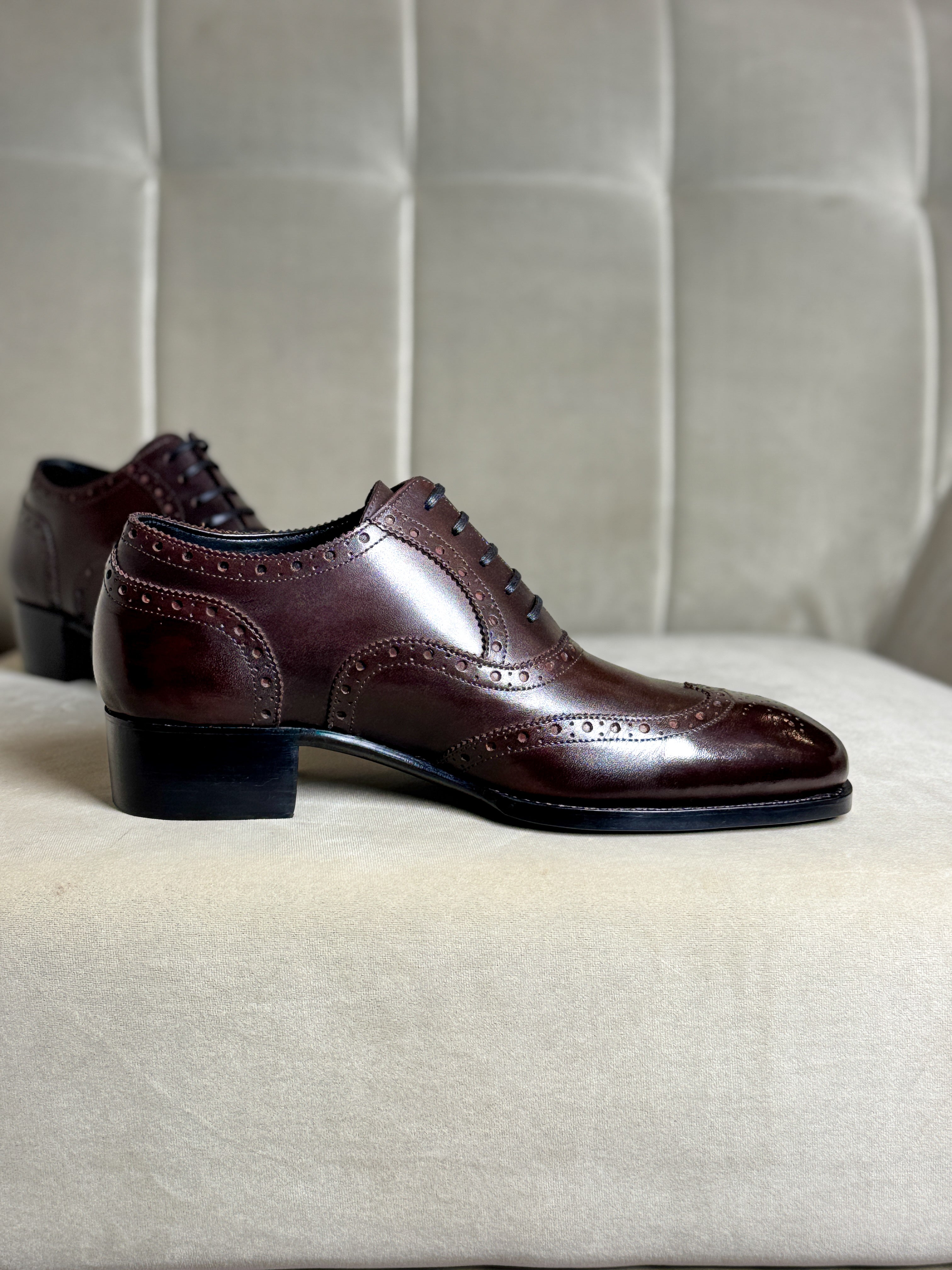 Dark burgundy oxford
