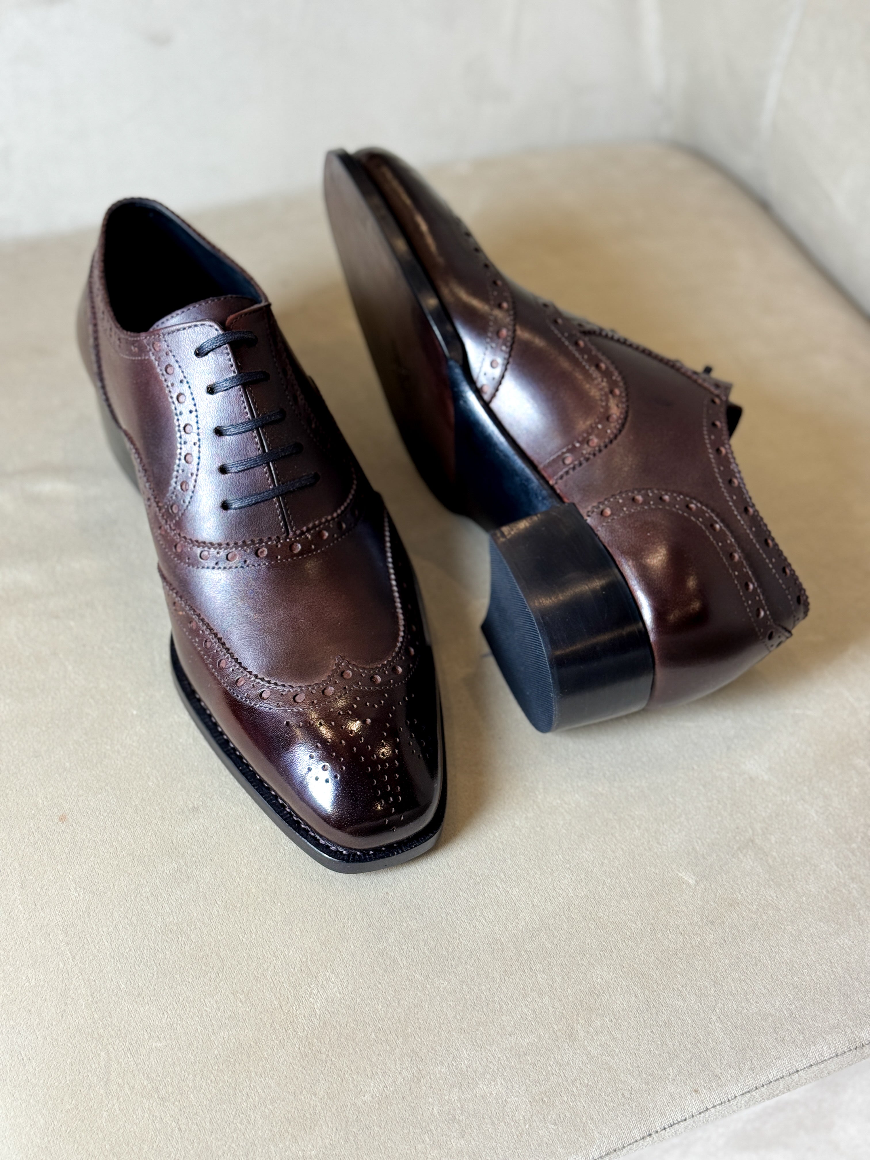 Dark burgundy oxford