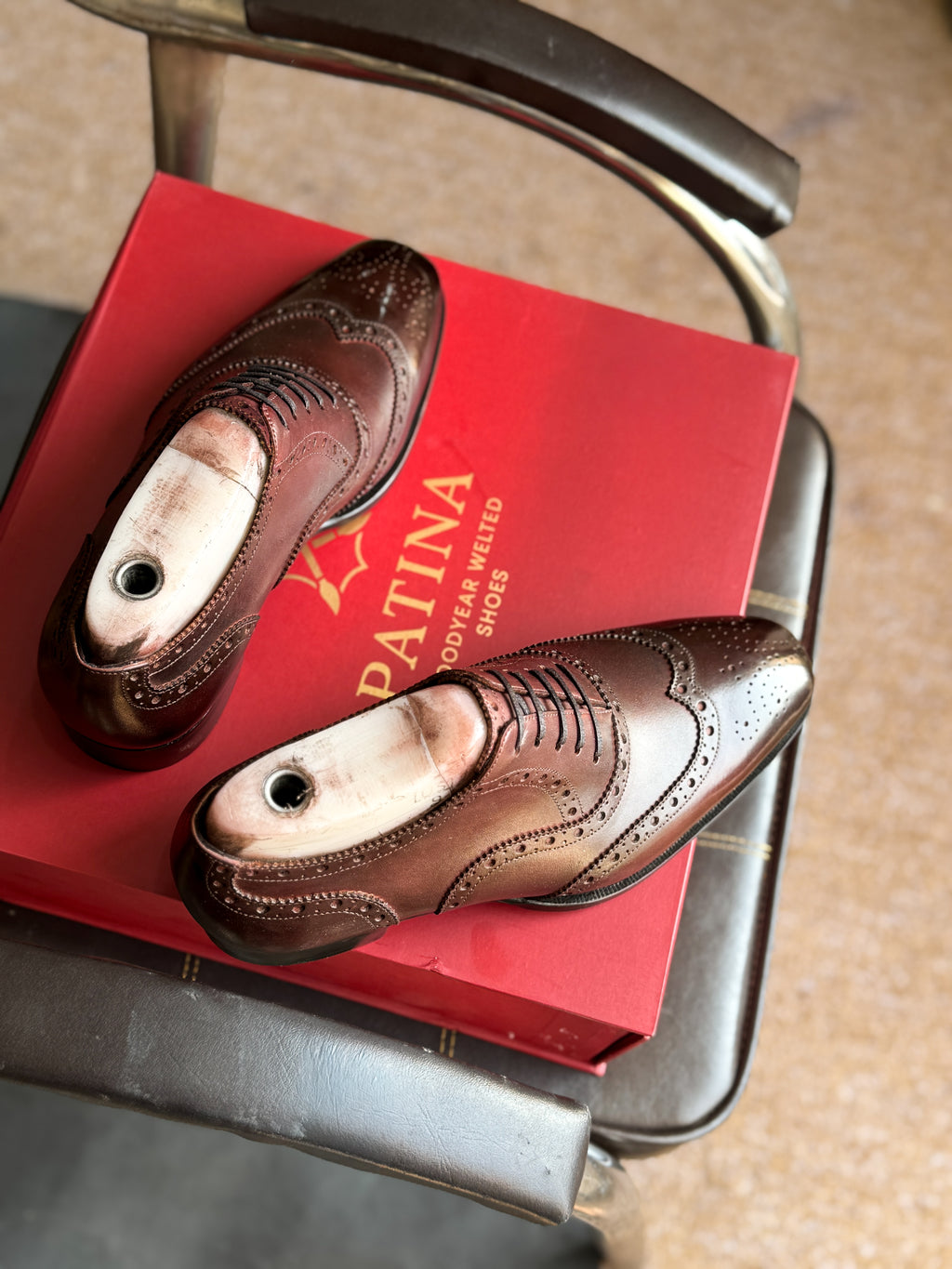 Burgundy black wingtip oxfords
