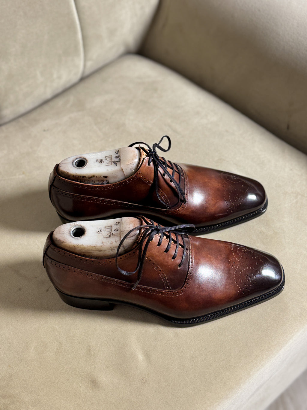 chestnut brown patina oxford
